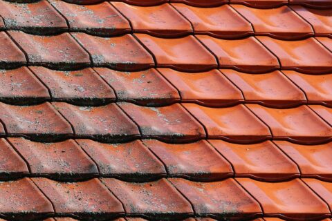 Roof Cleaning & Coating Basingstoke