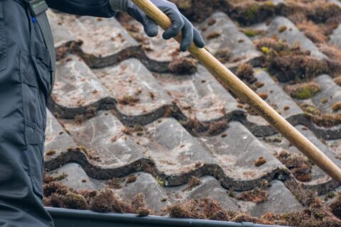 Basingstoke Roof Moss Removal Experts