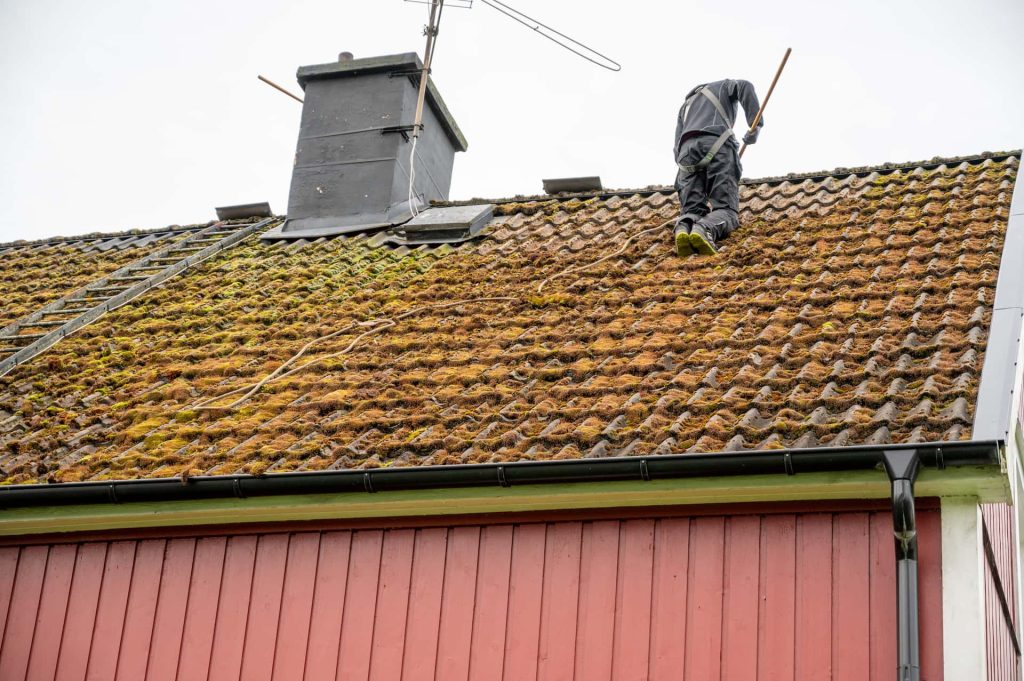 Roof moss removal services Basingstoke