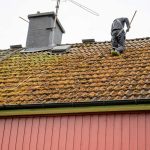 Roof moss removal Basingstoke