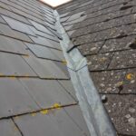 Roof moss remover Basingstoke
